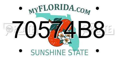 70574B8 Florida License Plate