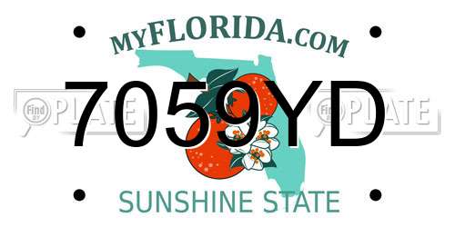 7059YD Florida License Plate