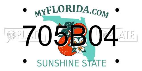 705B04 Florida License Plate