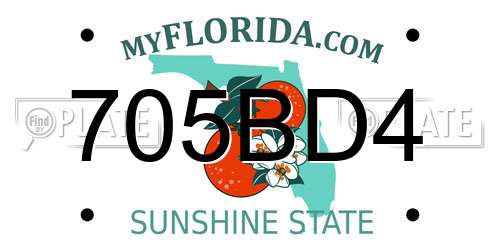 705BD4 Florida License Plate