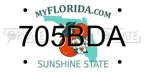 705BDA Florida License Plate