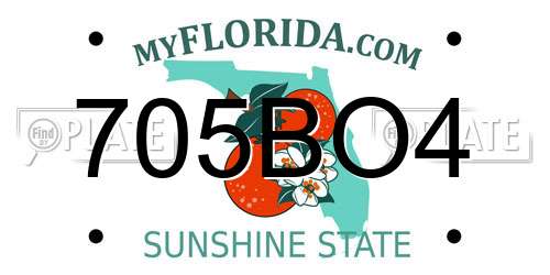 705BO4 Florida License Plate