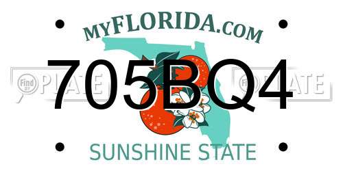 705BQ4 Florida License Plate