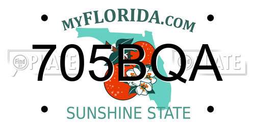 705BQA Florida License Plate