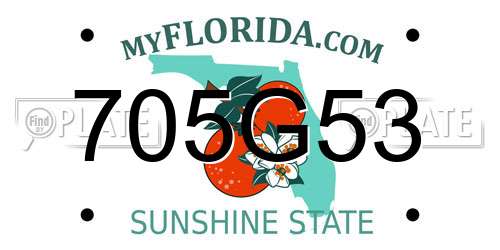 705G53 Florida License Plate