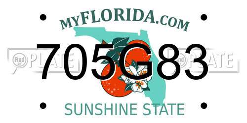 705G83 Florida License Plate