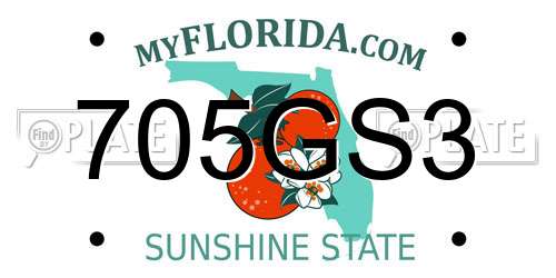 705GS3 Florida License Plate