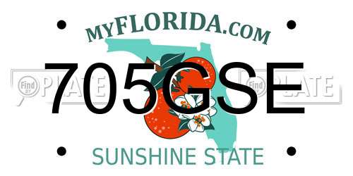 705GSE Florida License Plate