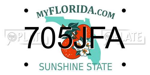 705JFA Florida License Plate