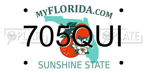 705QUI Florida License Plate