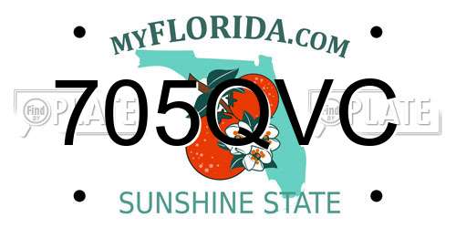 705QVC Florida License Plate