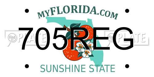 705REG Florida License Plate