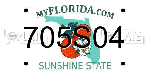 705S04 Florida License Plate