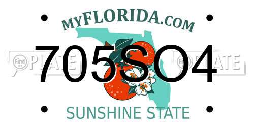 705SO4 Florida License Plate