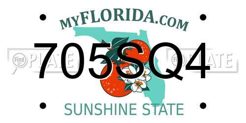 705SQ4 Florida License Plate