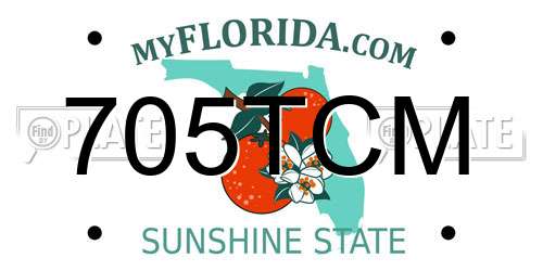 705TCM Florida License Plate