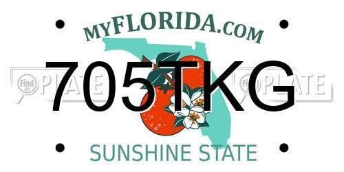 705TKG Florida License Plate