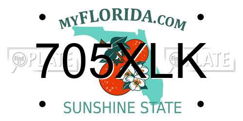 705XLK Florida License Plate