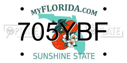 705YBF Florida License Plate