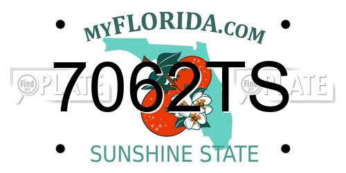 7062TS Florida License Plate