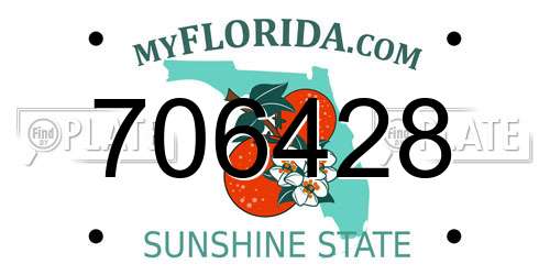 706428 Florida License Plate