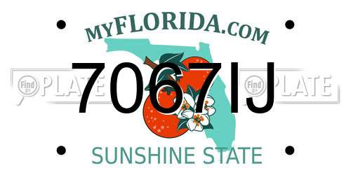 7067IJ Florida License Plate