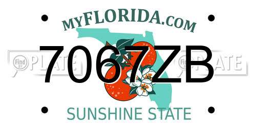 7067ZB Florida License Plate