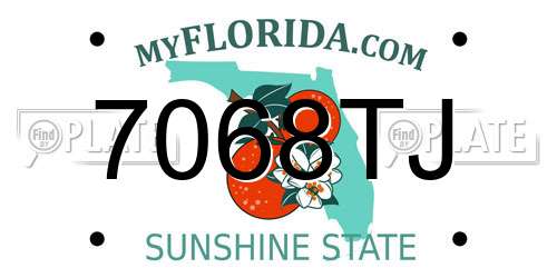 7068TJ Florida License Plate