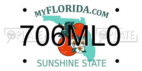 706ML0 Florida License Plate