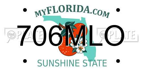706MLO Florida License Plate