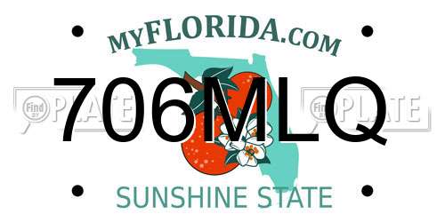 706MLQ Florida License Plate
