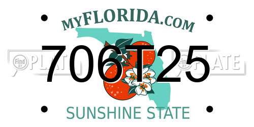 706T25 Florida License Plate