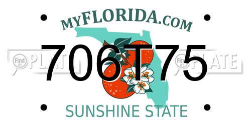 706T75 Florida License Plate