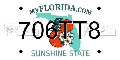 706TT8 Florida License Plate