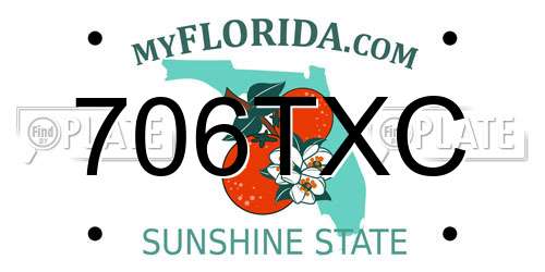 706TXC Florida License Plate