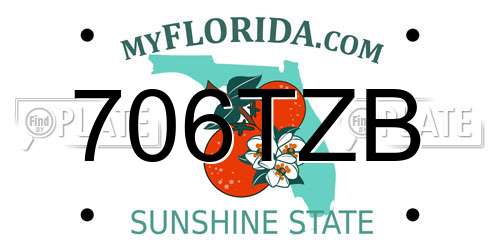 706TZB Florida License Plate