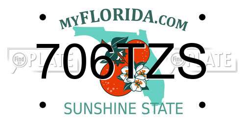 706TZS Florida License Plate