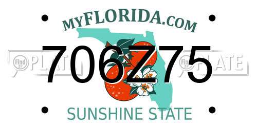 706Z75 Florida License Plate