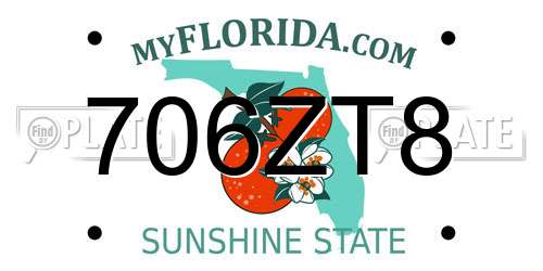 706ZT8 Florida License Plate