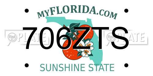 706ZTS Florida License Plate