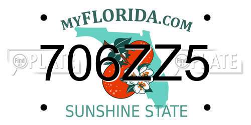 706ZZ5 Florida License Plate