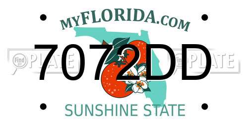 7072DD Florida License Plate