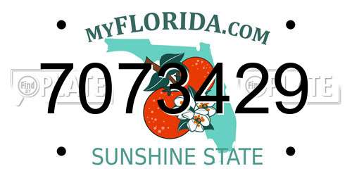7073429 Florida License Plate