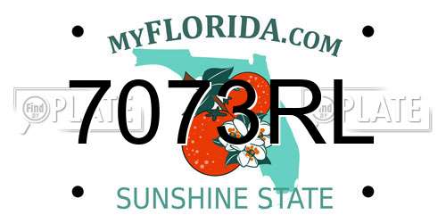 7073RL Florida License Plate