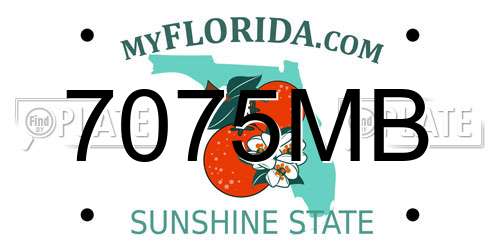 7075MB Florida License Plate