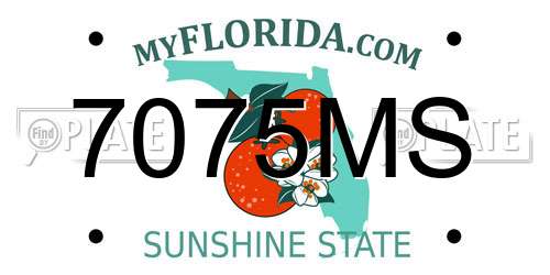7075MS Florida License Plate