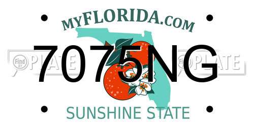7075NG Florida License Plate