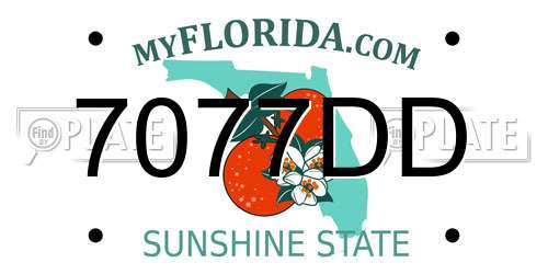 7077DD Florida License Plate