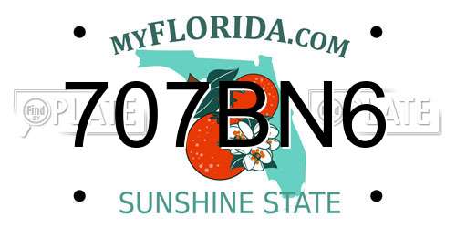 707BN6 Florida License Plate