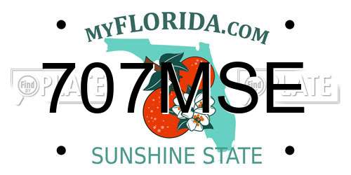 707MSE Florida License Plate